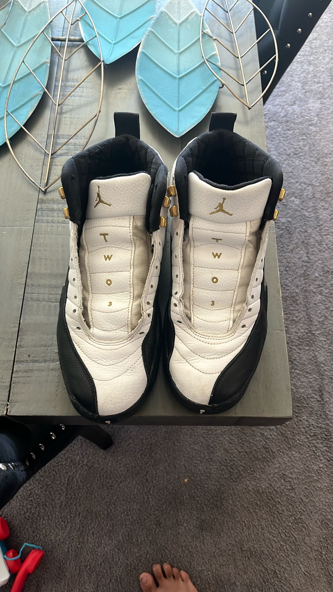 jordan 12s