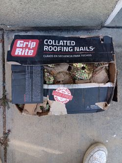 Roofing Nails