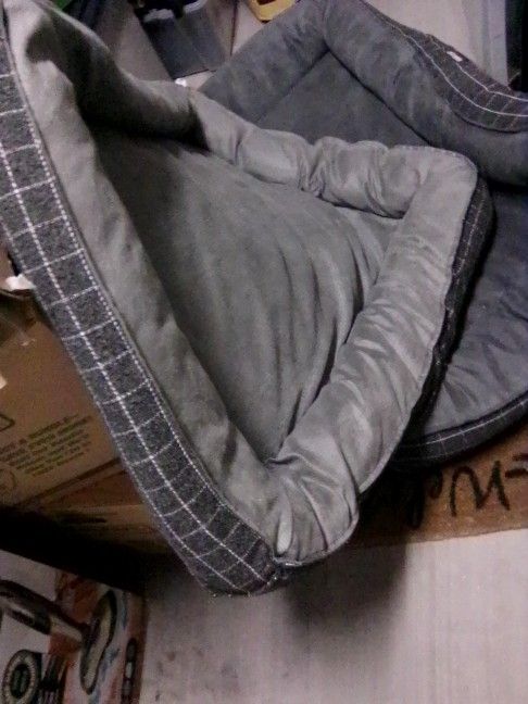 Dog Beds