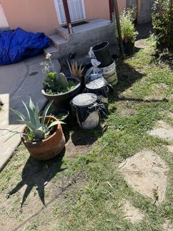 Tierra. Ie La para JardÃn