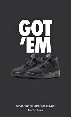 Black Cats Zise 10