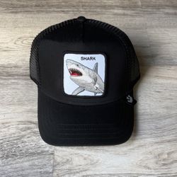 Goorin Bros Snapback $45 SHARK