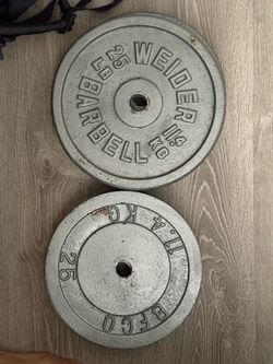1inch weight plates 25lb (4)