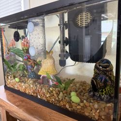 5 Gallon Fish Tank For Sale (with accessories)
