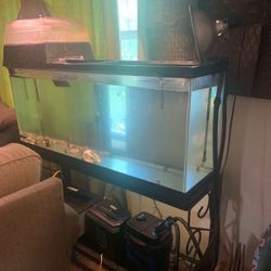 55 Gallon Tank With Light & Stand