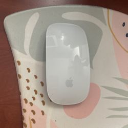 Apple Mouse 