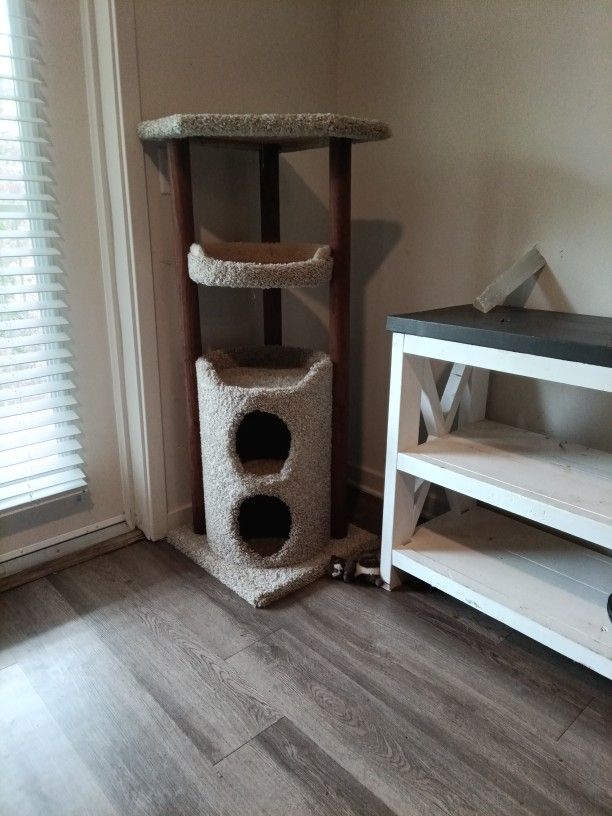 Cat Tower