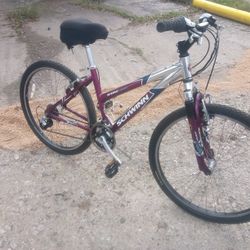 Schwinn Bicycle