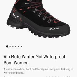 Salewa Hiking Boots
