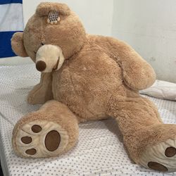 Oso Peluche