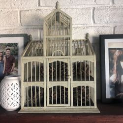 Bird Cage