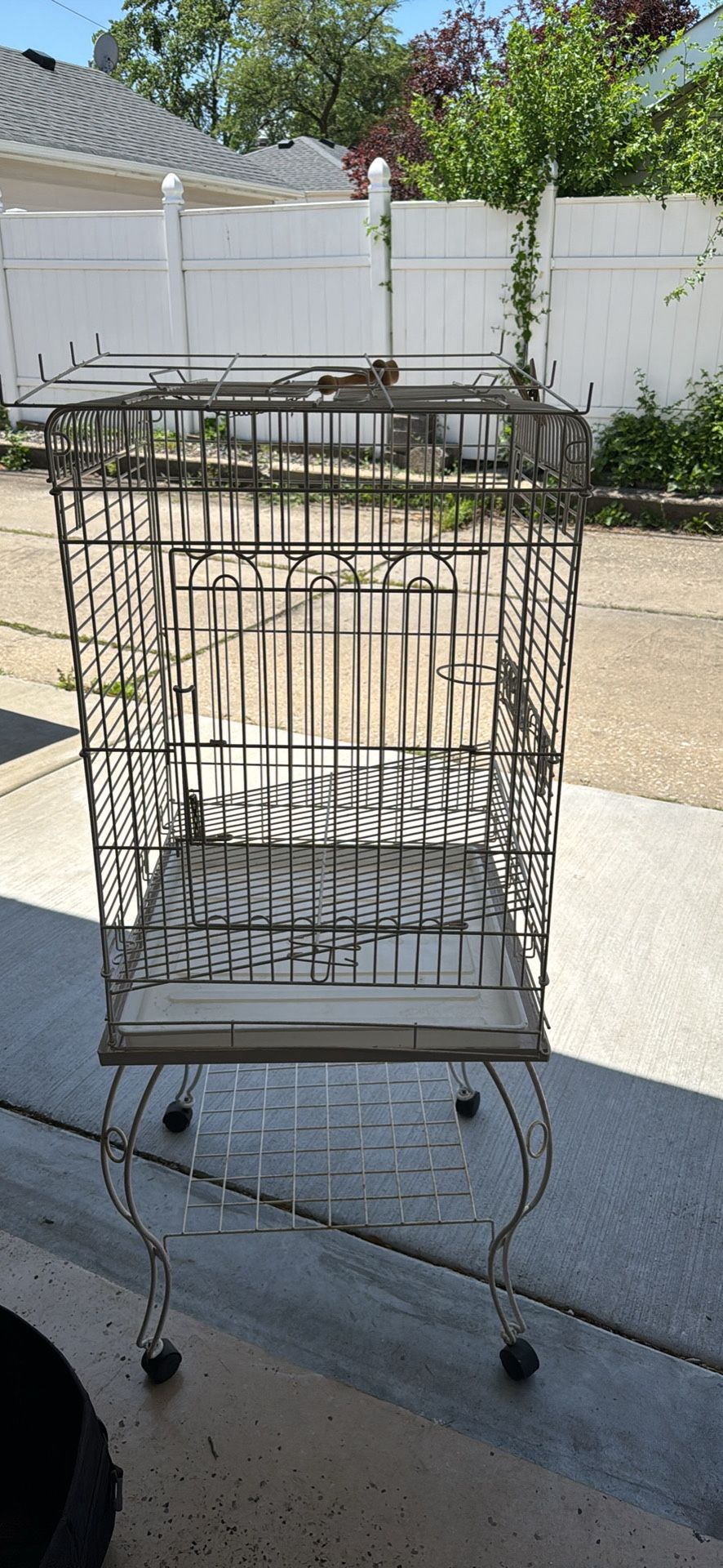 Bird Cage