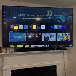 Tv mount Guy SameDay 