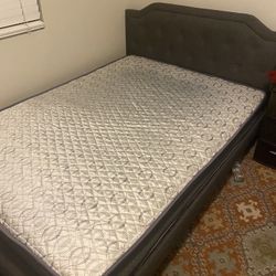Twin Bad With Mattress