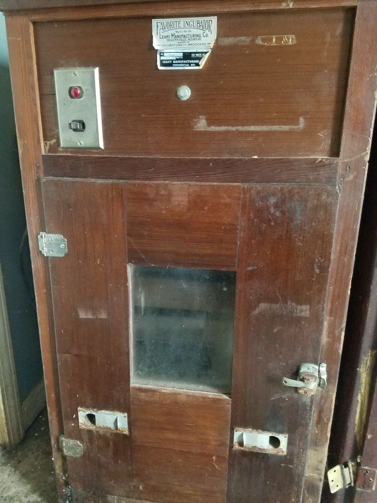 Antique Cabinet Incubator Leahy Favorite 416-e, Works Great!