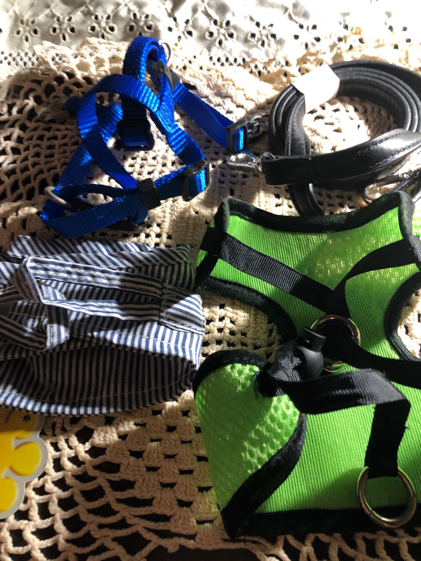 Under 5lbs dogs leash and harness
