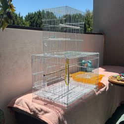 Bird Cage