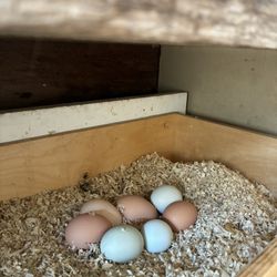 Fresh Eggs, Green beans, Cayenne Peppers 