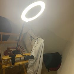 Ring Lights
