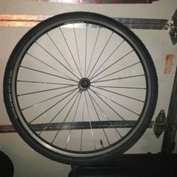 Bicycle Wheel