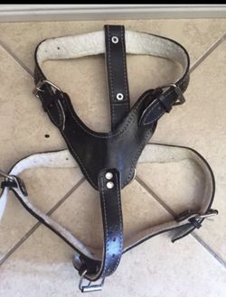Dog Harness / pechera
