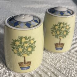 NIB Royal Doulton  CARMINA Salt & Pepper Shakes 