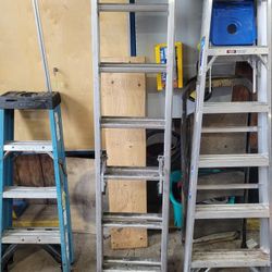Werner Ladders