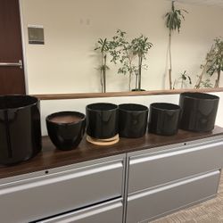 Ceramic Planters