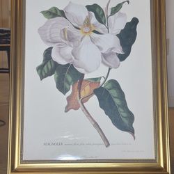 28×21 Floral Painting