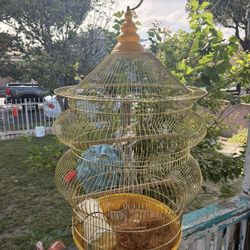 Bird Cage 