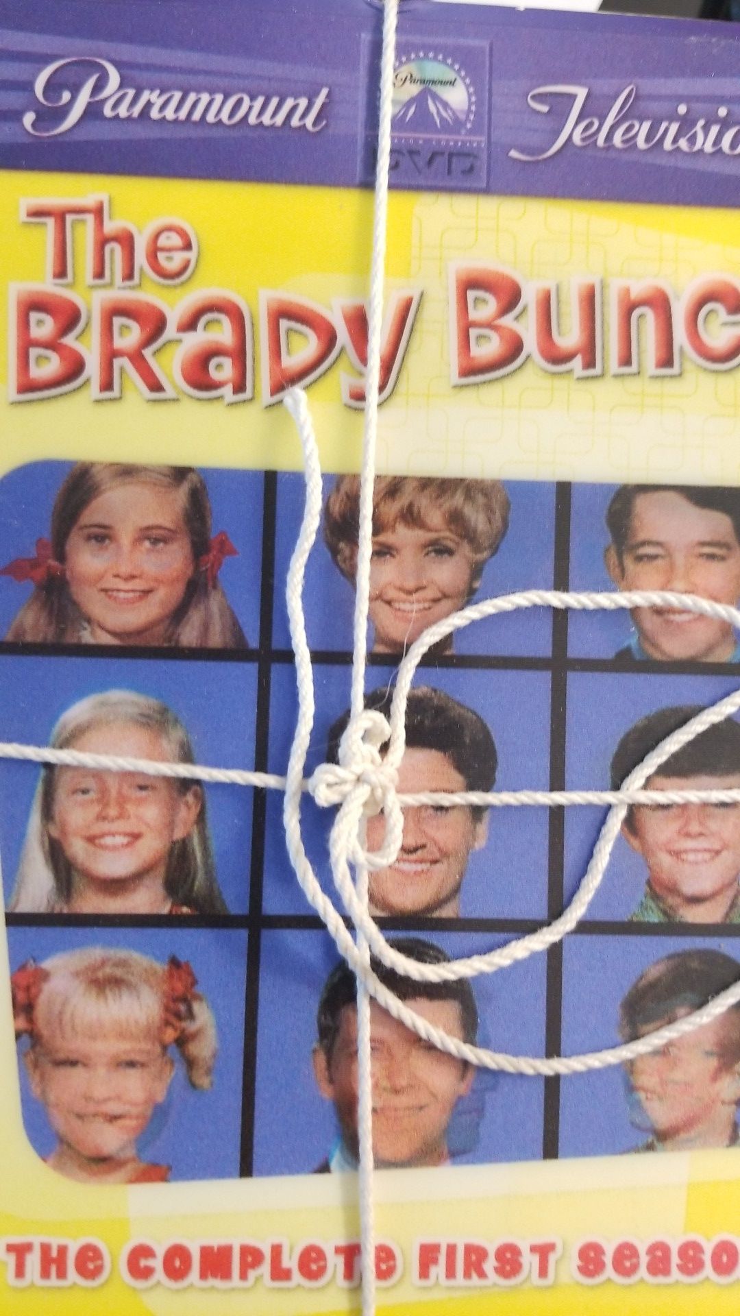 BRADY BUNCH SERIES DVDS