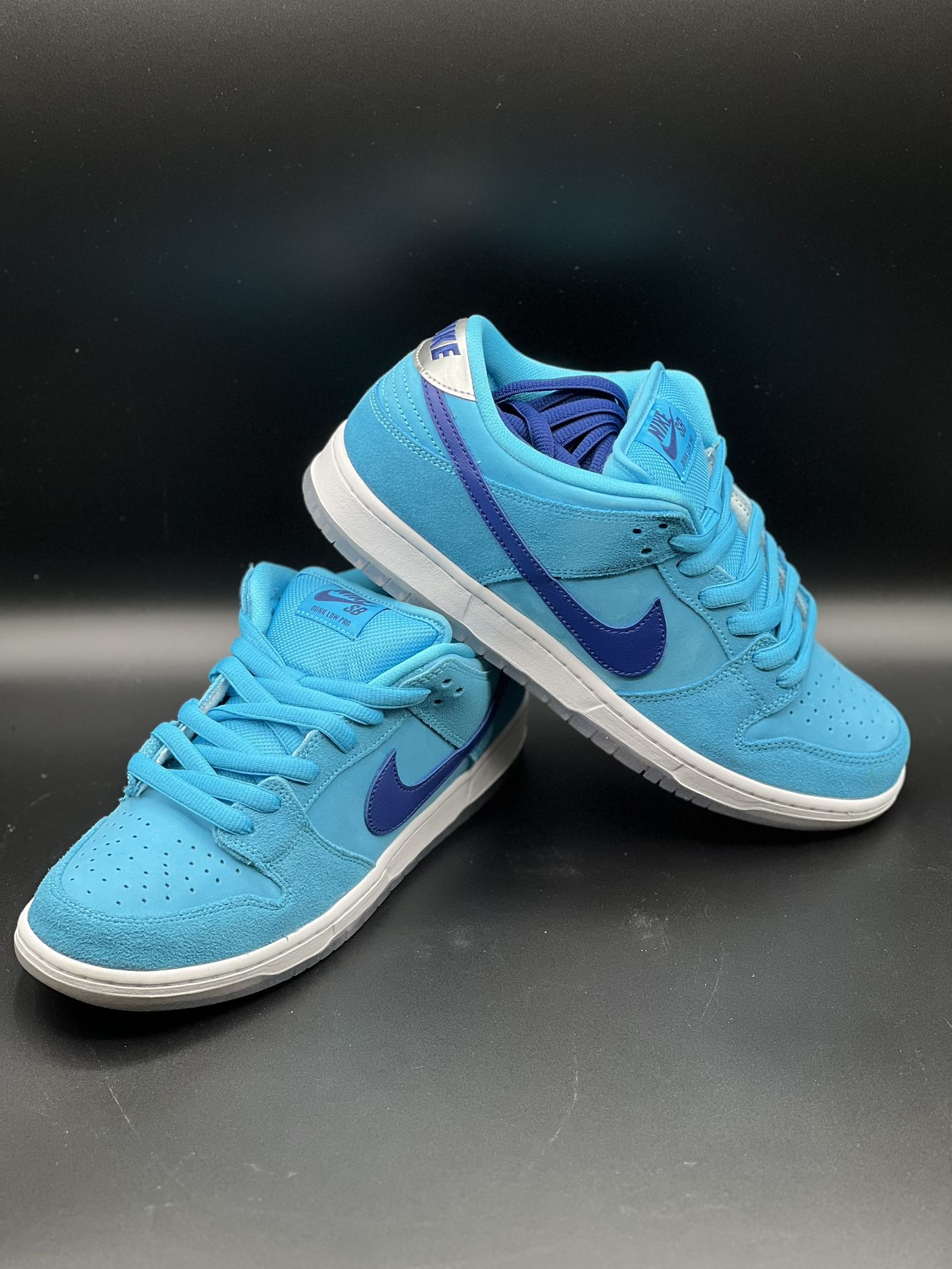 Nike Dunk Low SB Blue Fury Size 9.5