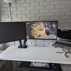 Huanuo Dual Monitor Arm With USB 