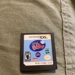 Nintendo Ds