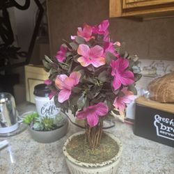 Cute Topery Tree