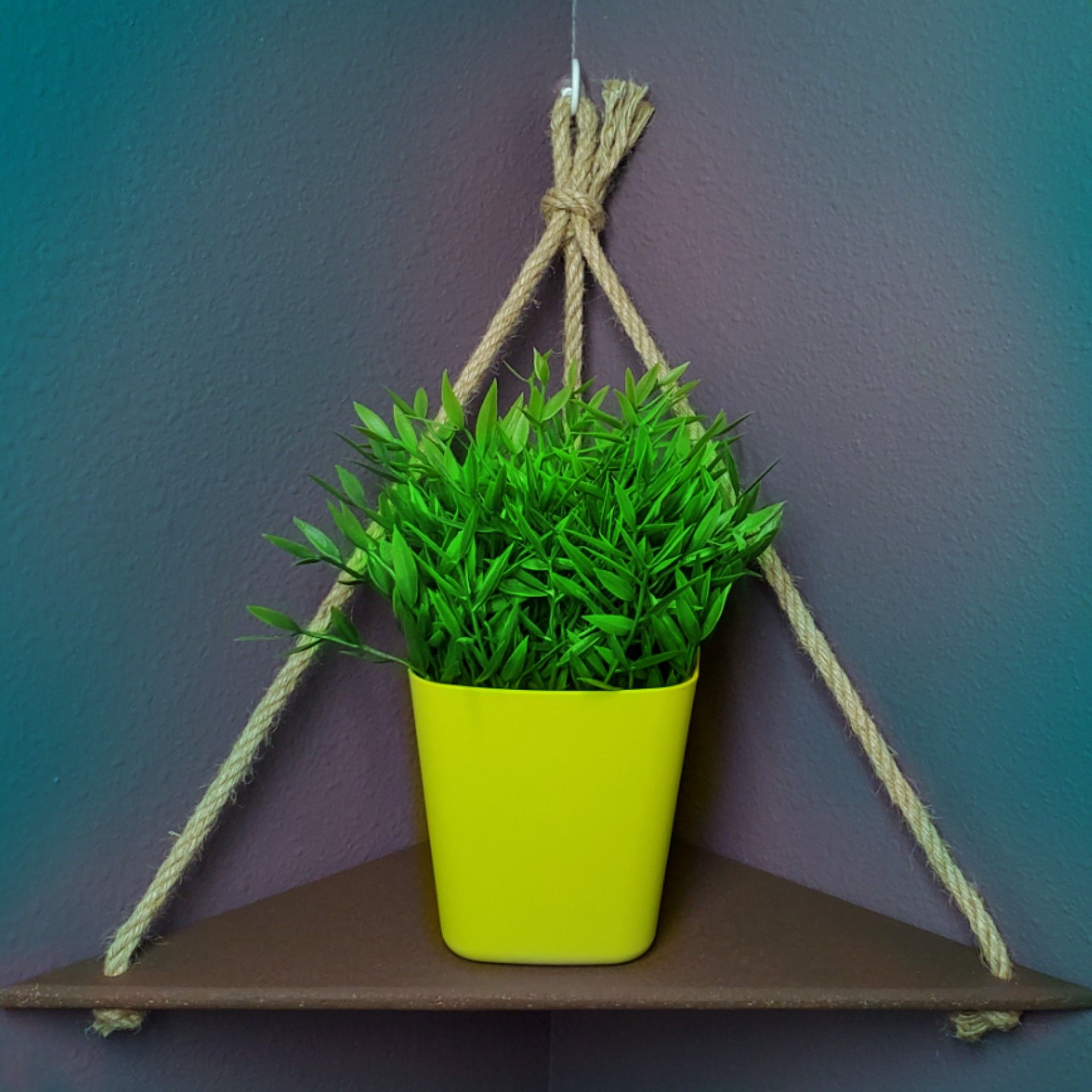 Corner shelf, shelves