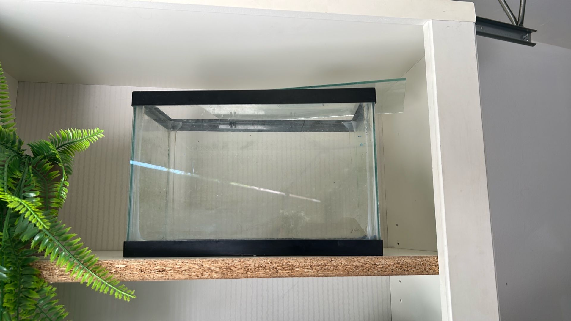 Fish Tank