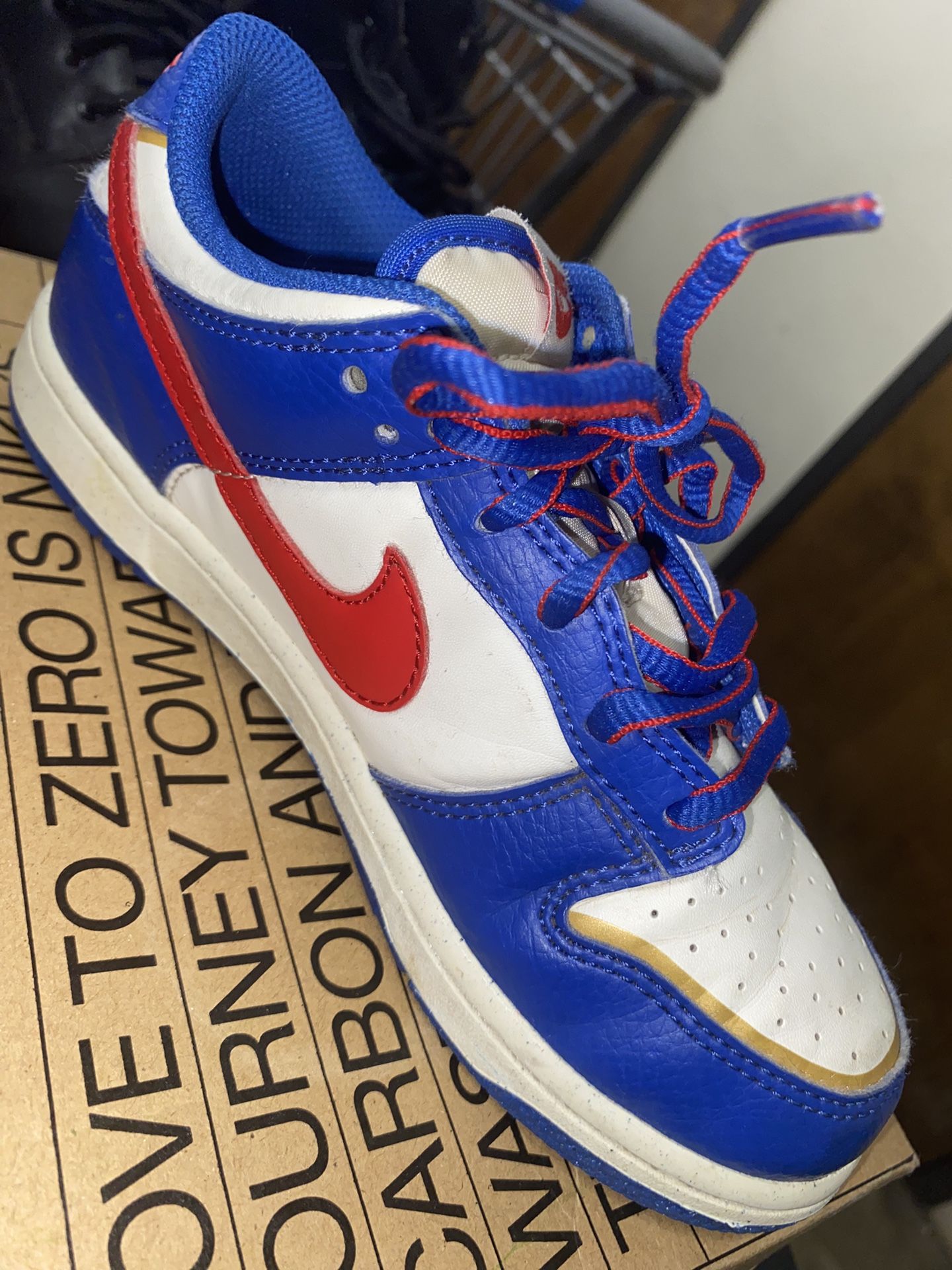 Nike Dunk Low Next Nature