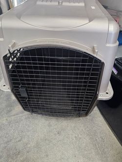 Gray Plastic Hard-Sided Dog Travel Crate,Wire Door Travel Carrier 28”21.5” 20.5”
