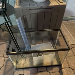 Full Fish Tank Setup 