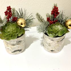 Christmas plant decor 