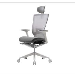 Ergonomic Office Chair