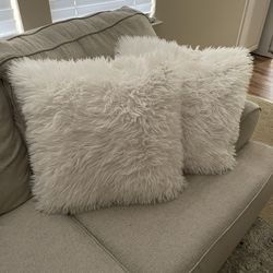 Two Beautiful Couch Pillows 