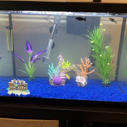 Complete 20-gallon Aquarium .