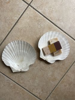 Clam Shells - Soap Dishes Or Decor
