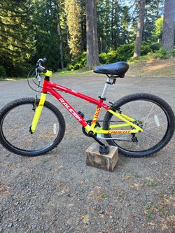Raleigh 7 speed. Bicycle