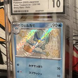 Pokémon Card Slab