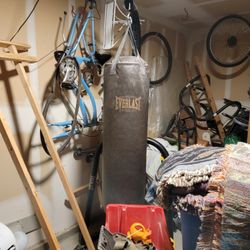 Everlast Punching Bag ,stand And Speed Bag Atchedment 