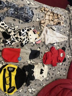 Dog Clothes