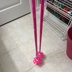 110cm ski poles